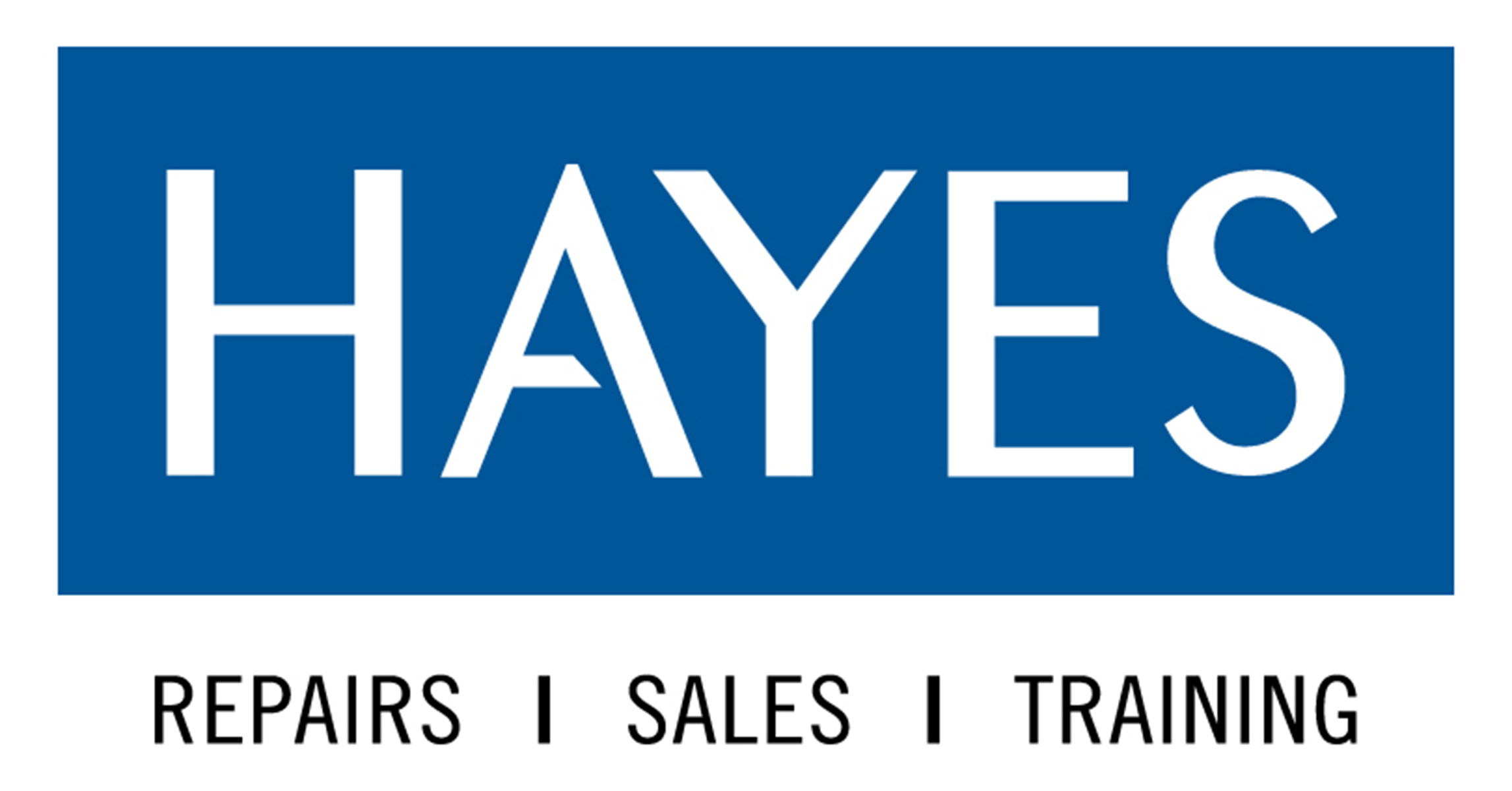 Hayes Maine